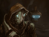 primordia_faces